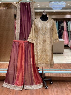 WhatsApp Image 2025-10-29 at 5.57.11 PM (2) Party Wear Palazzo