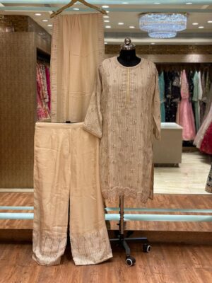 WhatsApp Image 2025-10-29 at 5.57.12 PM Party Wear Dress