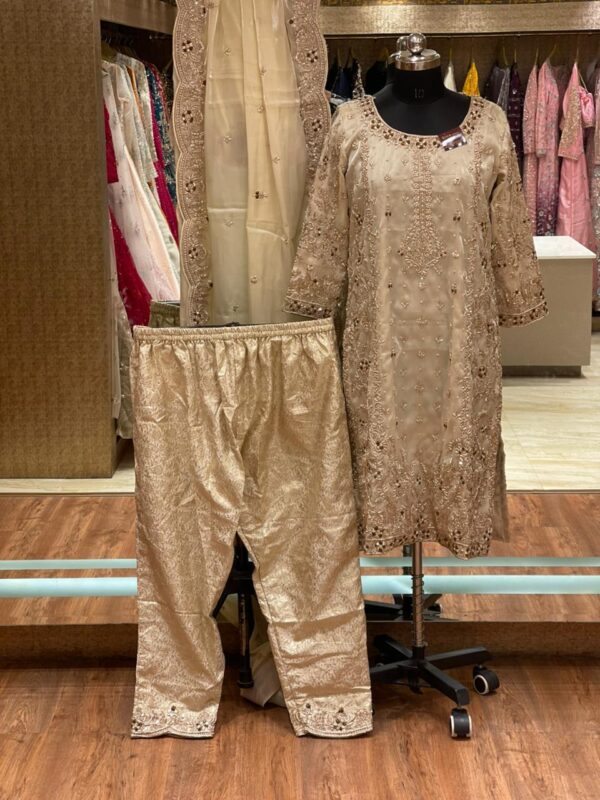 LIGHT GOLD ZARDOZI SUIT