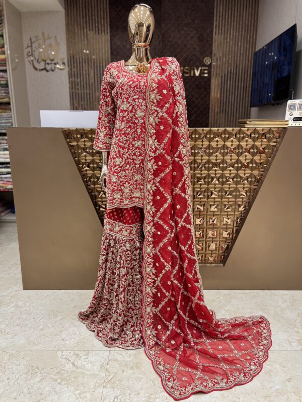 RICH CHILE RED ZARDOZI GHARARA
